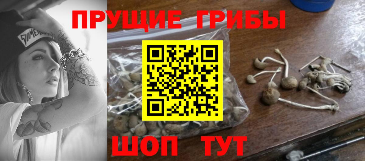 Галлюциногенные грибы Magic Shrooms  Псилоцибиновые грибы GOLDEN TEACHER  Менделеевск  Вход с VPN 