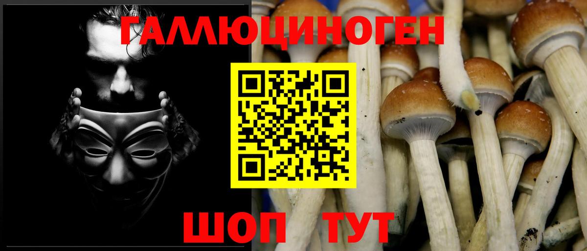 Псилоцибиновые грибы прущие грибы Менделеевск